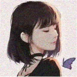 用户纸片收藏家头像